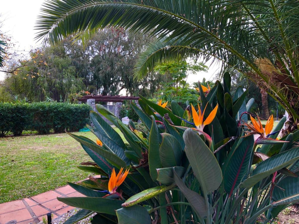 Puerto Banus Apartamento Flores マルベーリャ エクステリア 写真