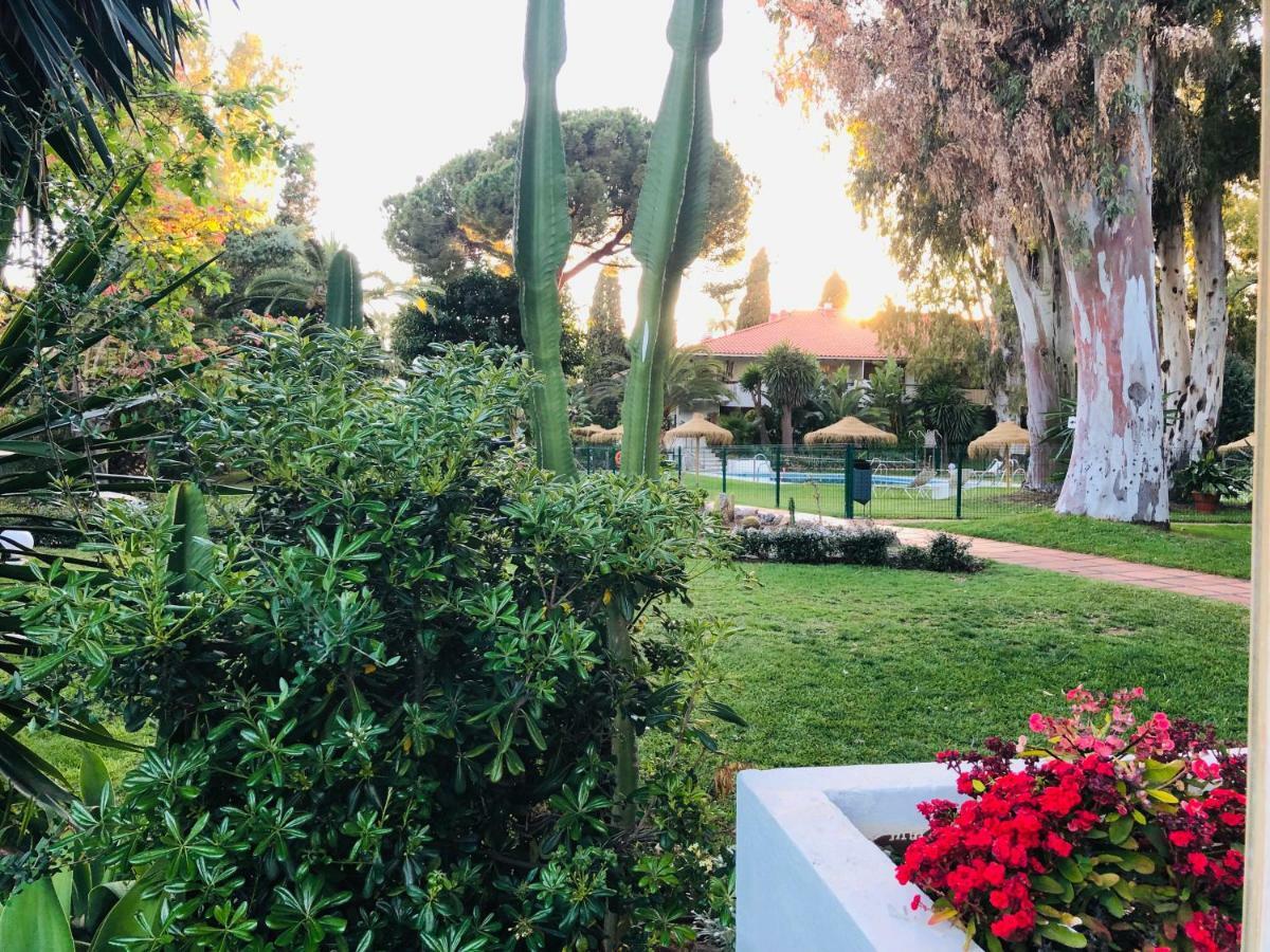 Puerto Banus Apartamento Flores マルベーリャ エクステリア 写真