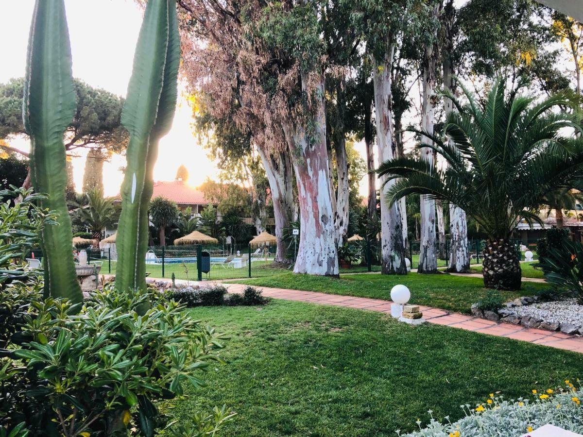 Puerto Banus Apartamento Flores マルベーリャ エクステリア 写真